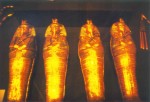Sarkophage Tutanchamuns, zum Vergrern klicken